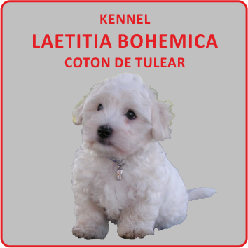 Kennel Laetitia Bohemica